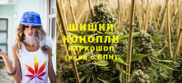ECSTASY Михайлов