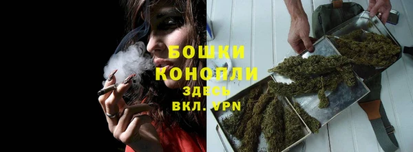 ECSTASY Михайлов