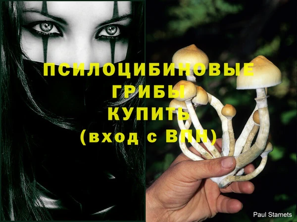 ECSTASY Михайлов