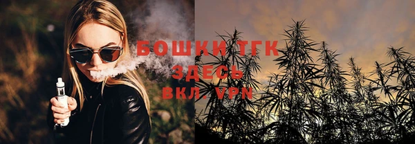 ECSTASY Михайлов