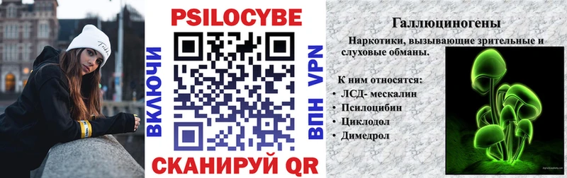 Купить где  Кадников  Галлюциногенные грибы Psilocybe 
