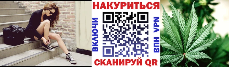 Бошки Шишки AK-47  Купить  Кадников 